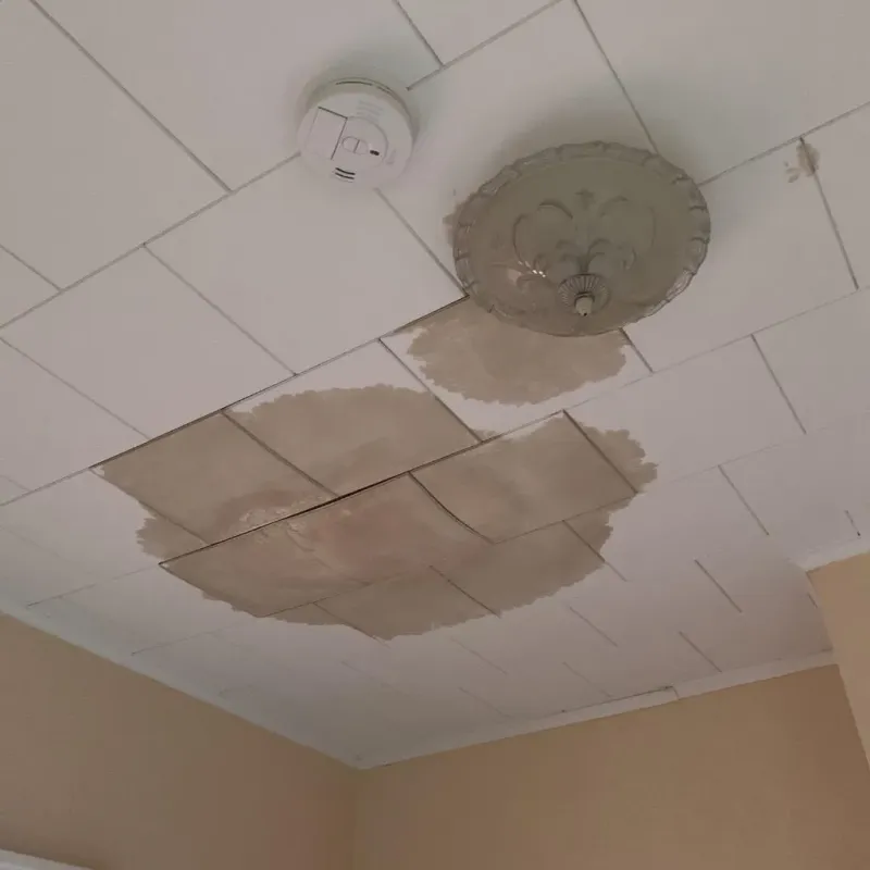 Ceiling Water Damage Repair in Frederick County, MD