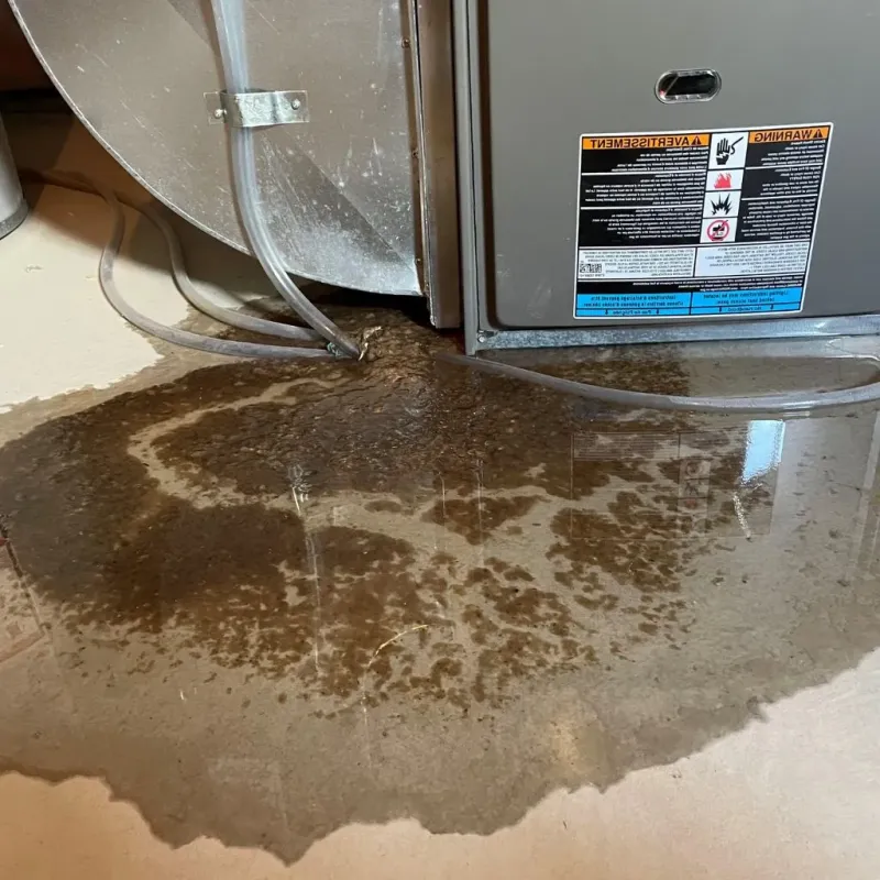 Pipe Burst and Leak Restoration in Frederick County, MD