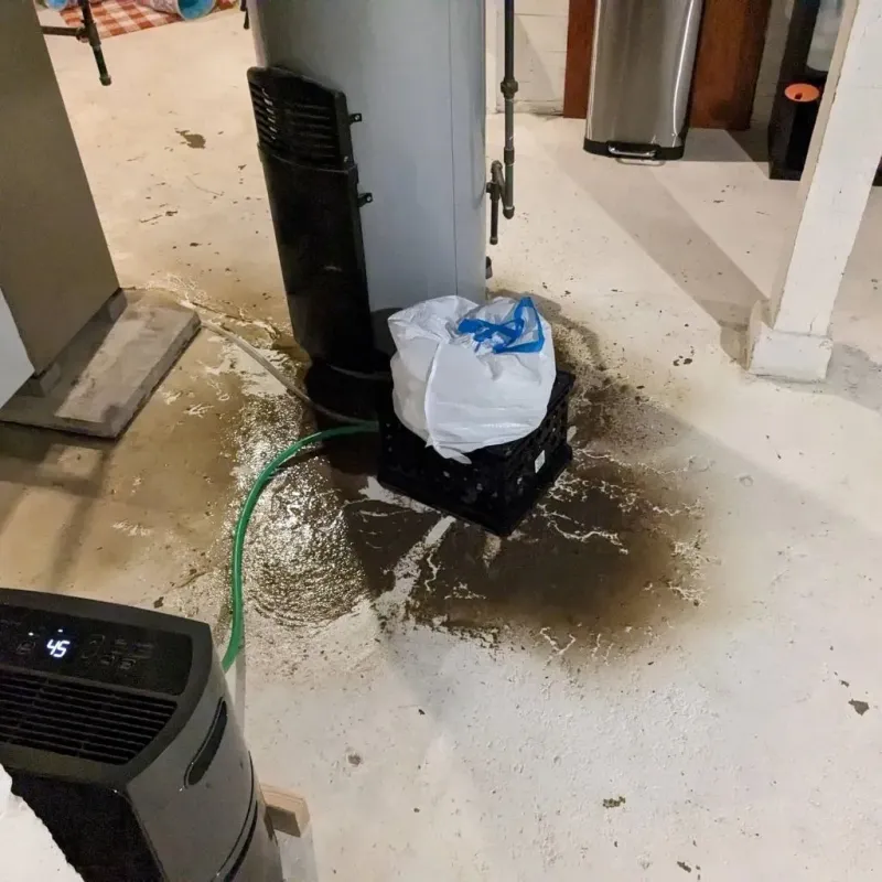 Sewage Backup Cleanup Service in Frederick County, MD